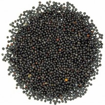 Mustard seed black 100g